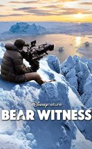 Bear Witness film izle
