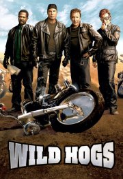 Çılgın Motorcular Wild Hogs 1080P Türkçe Dublaj izle